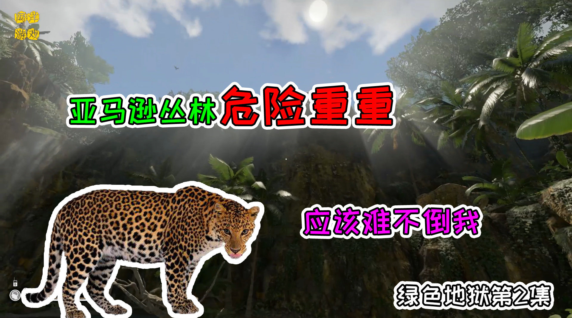 游戏里获得的最高成就